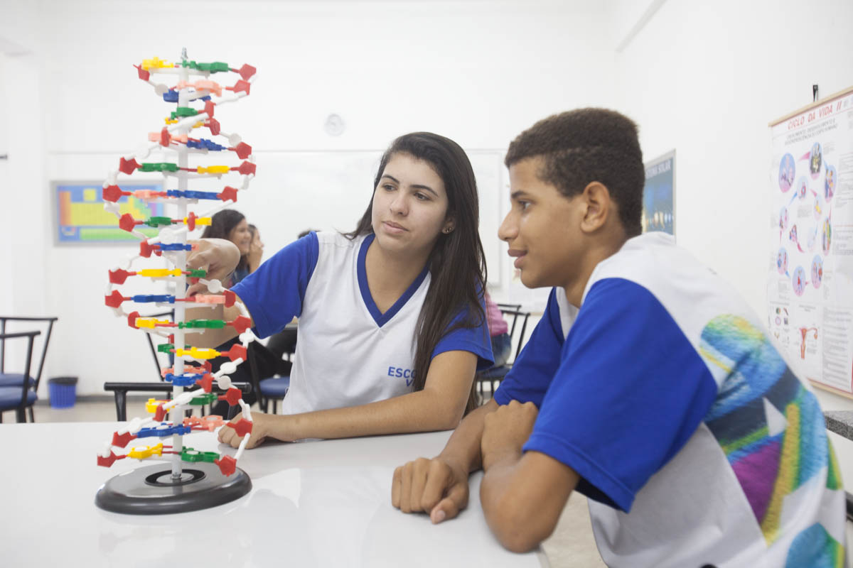 16216 - ESCOLA VIVA_8418