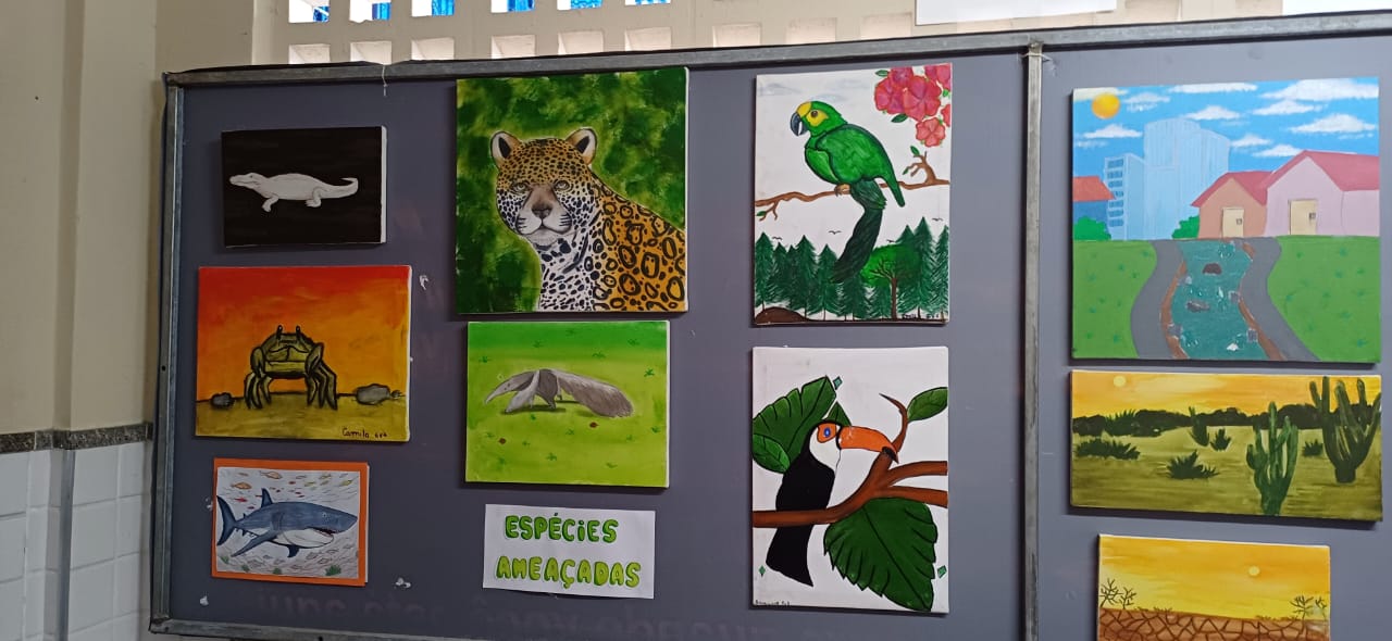 ECOARTE (4)