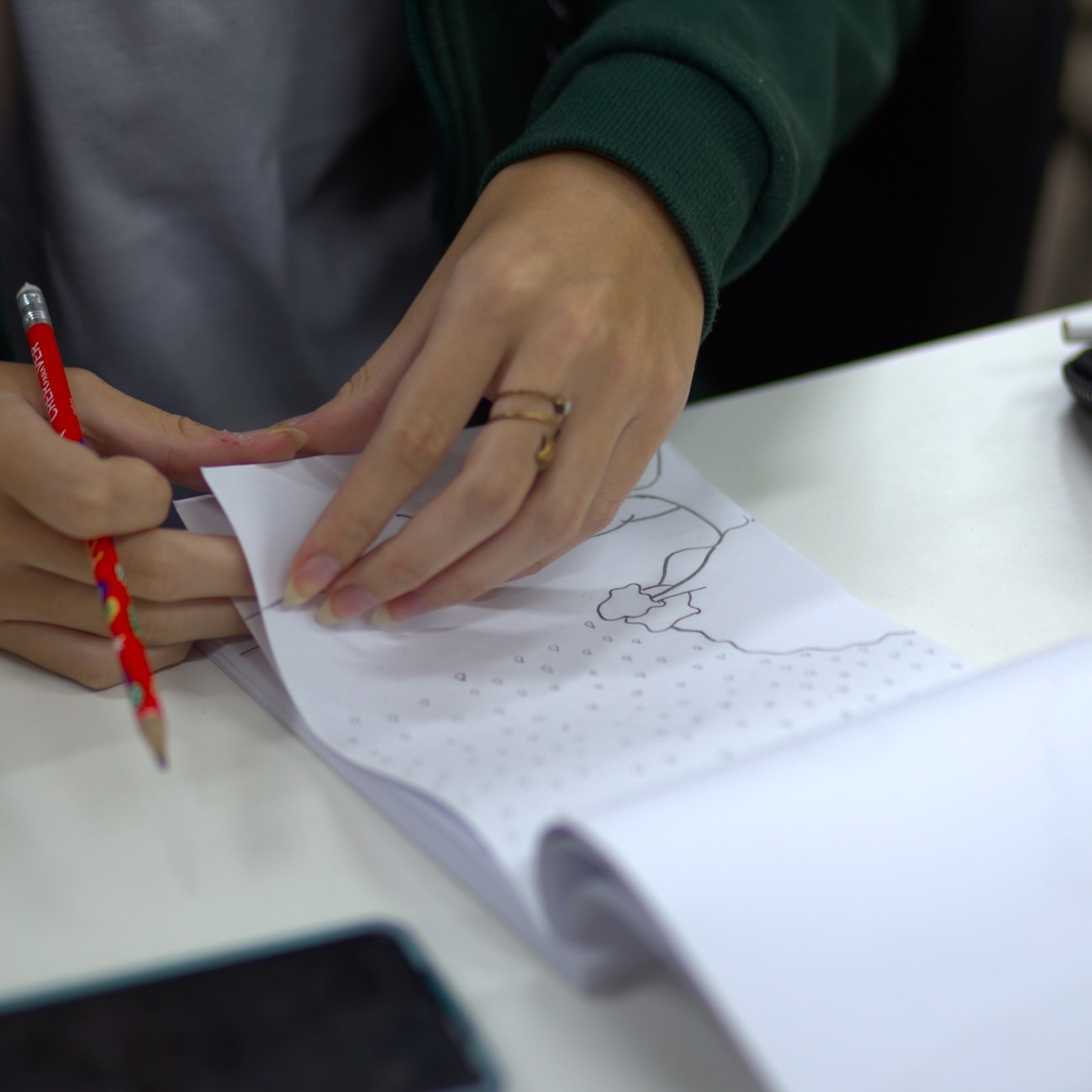 Flipbooks (1)