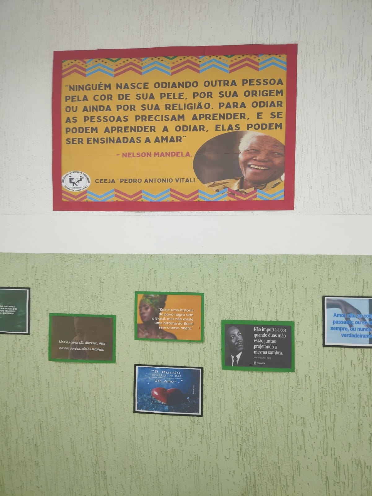 IMAAGEM 6