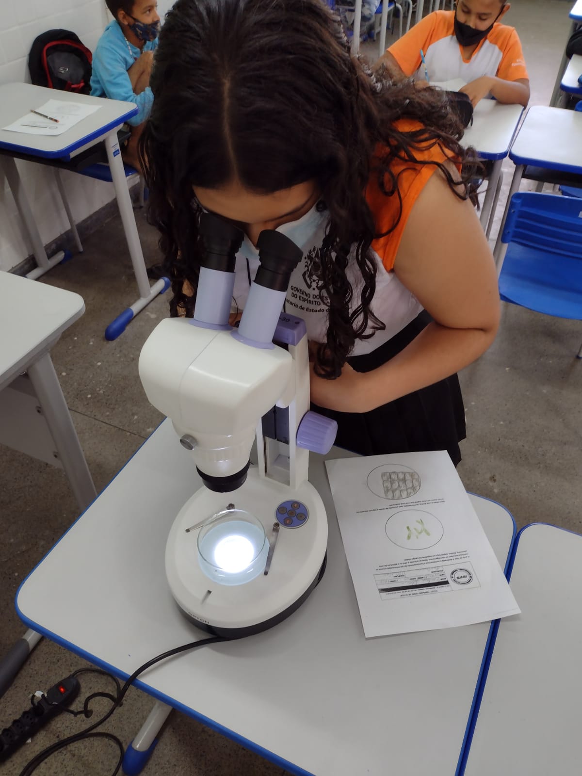 Micromundo (2)