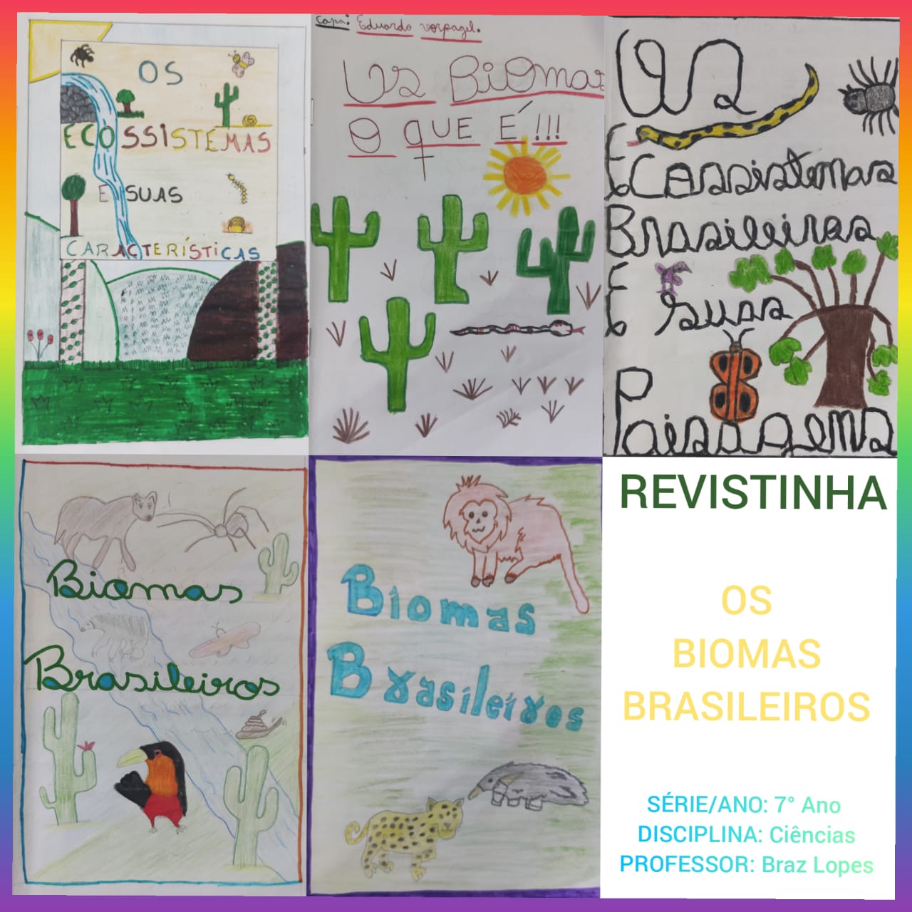 Revistinha dos Ecossistemas Brasileiros-1