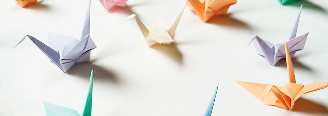 Topo-origamis