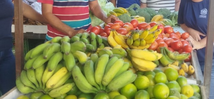 Visita à feira