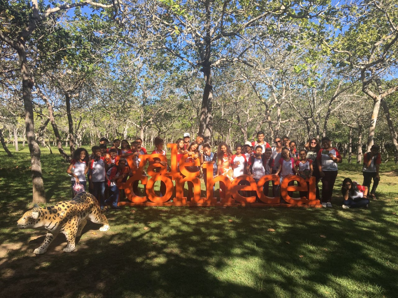 foto eletiva-1