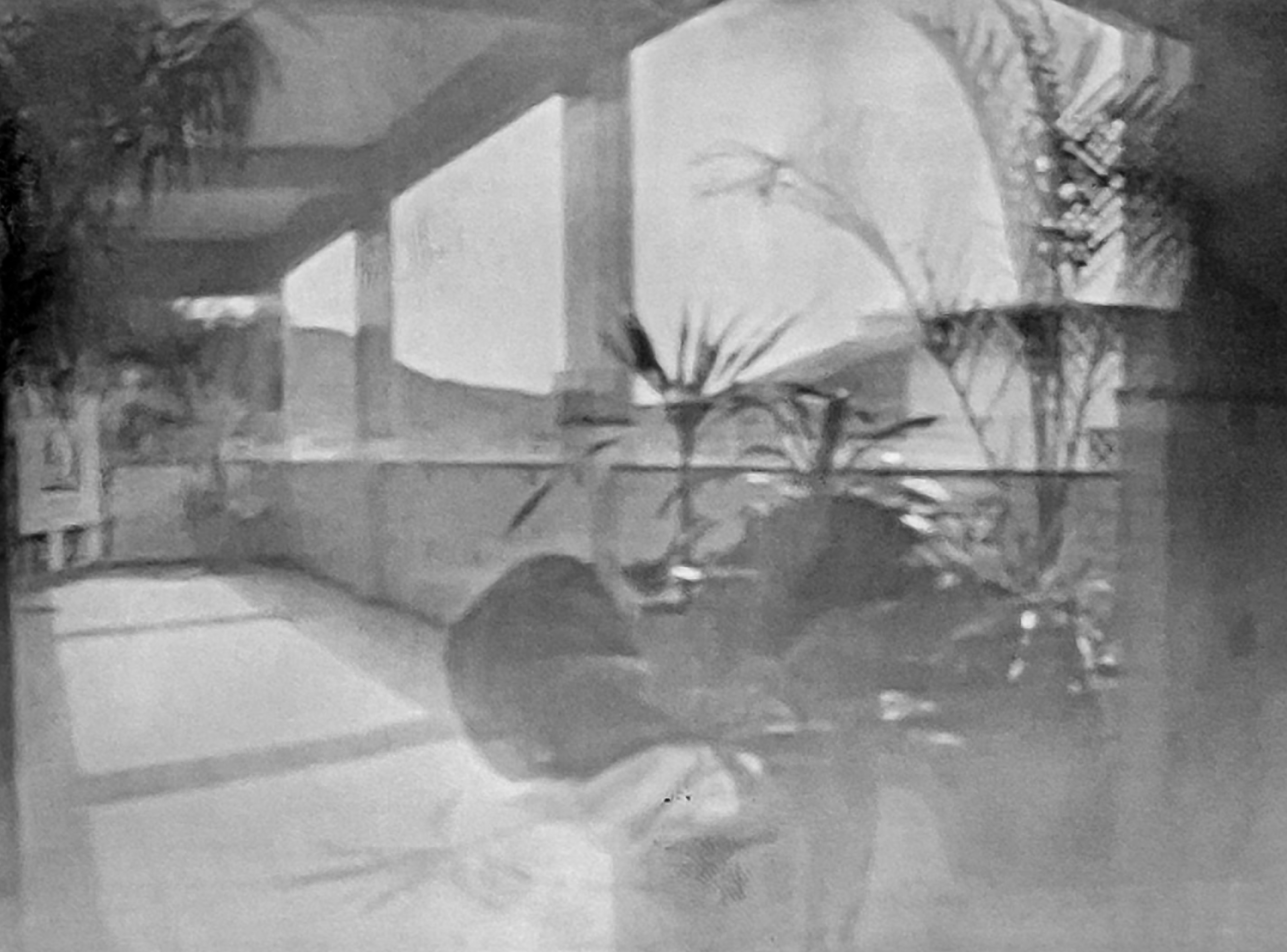 foto eletiva-2